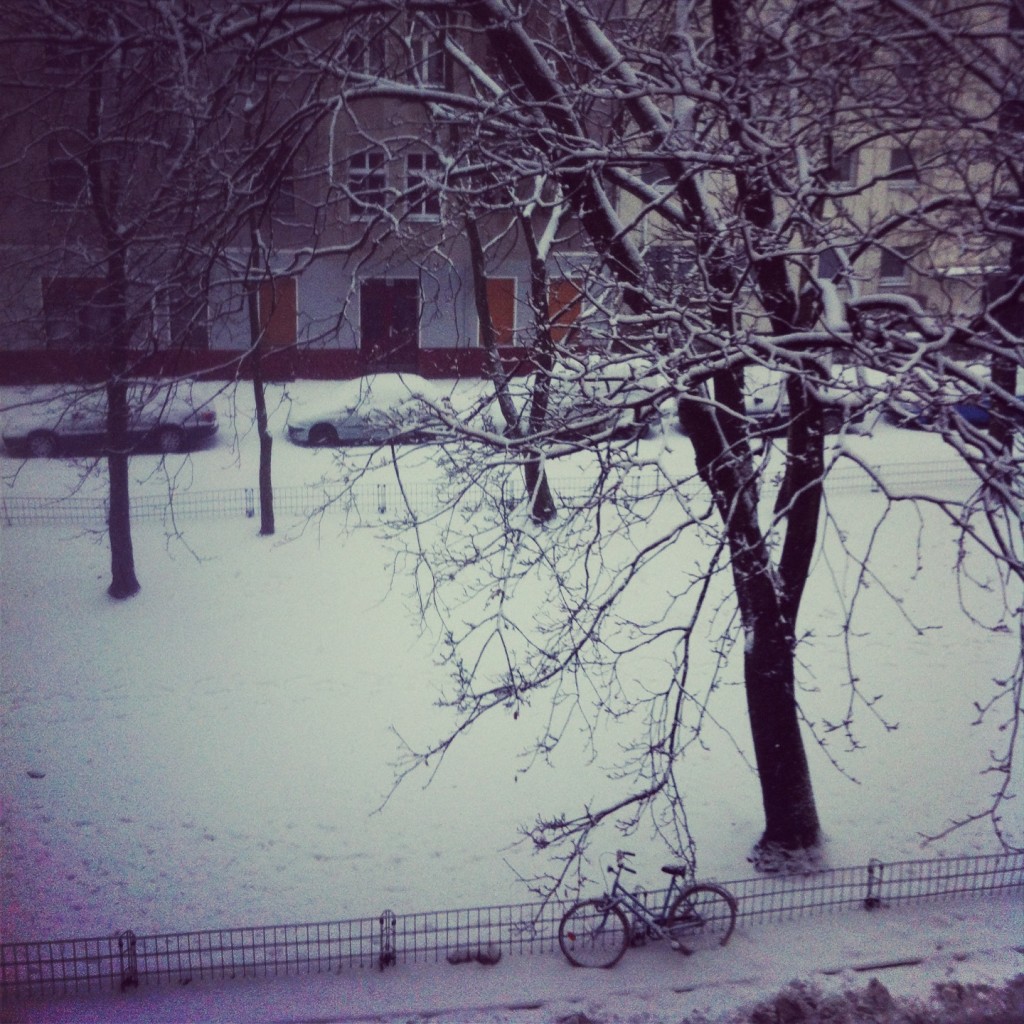 Winter Fields