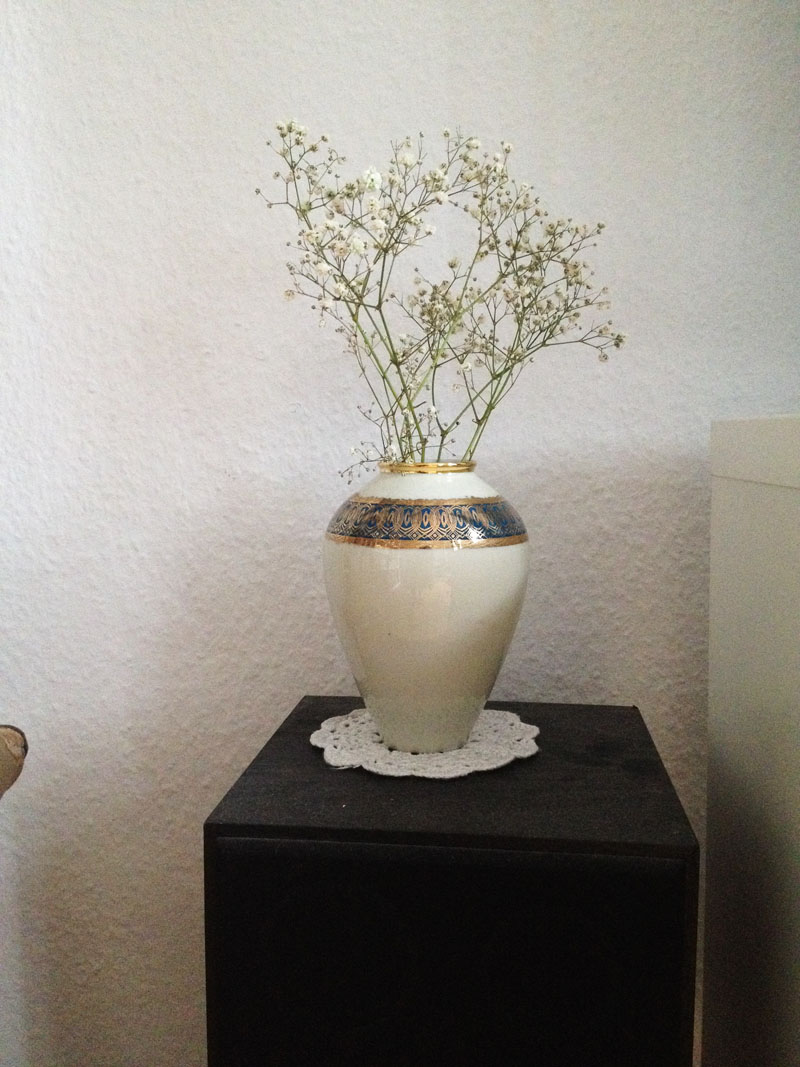 Schleierkraut in Vase