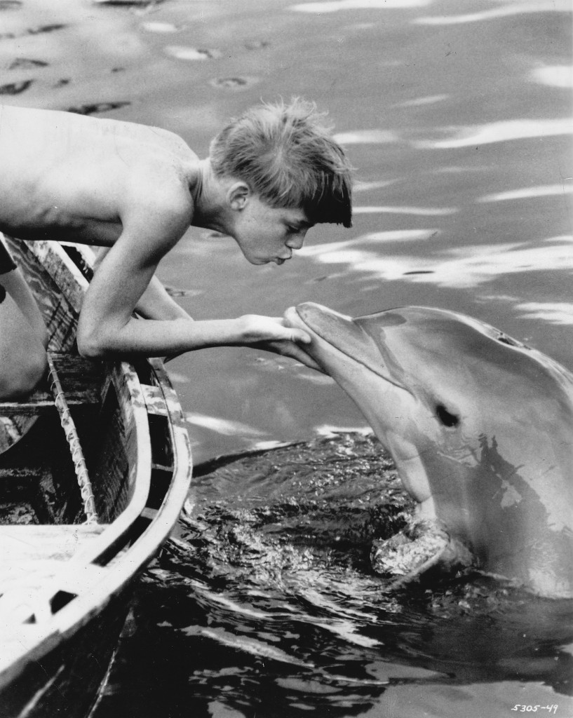 Delfin