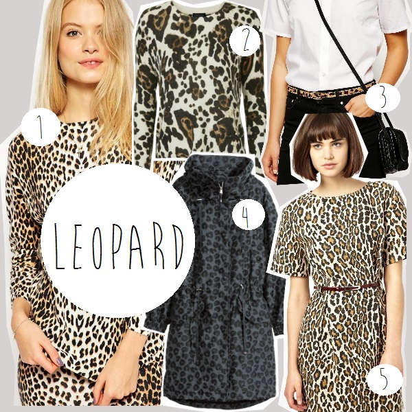 leoparden