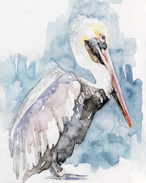 Pelikan art