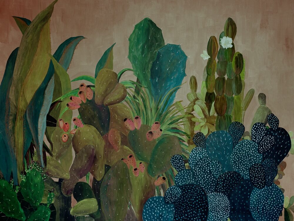 cactus illustration Laura Garcia Serventi